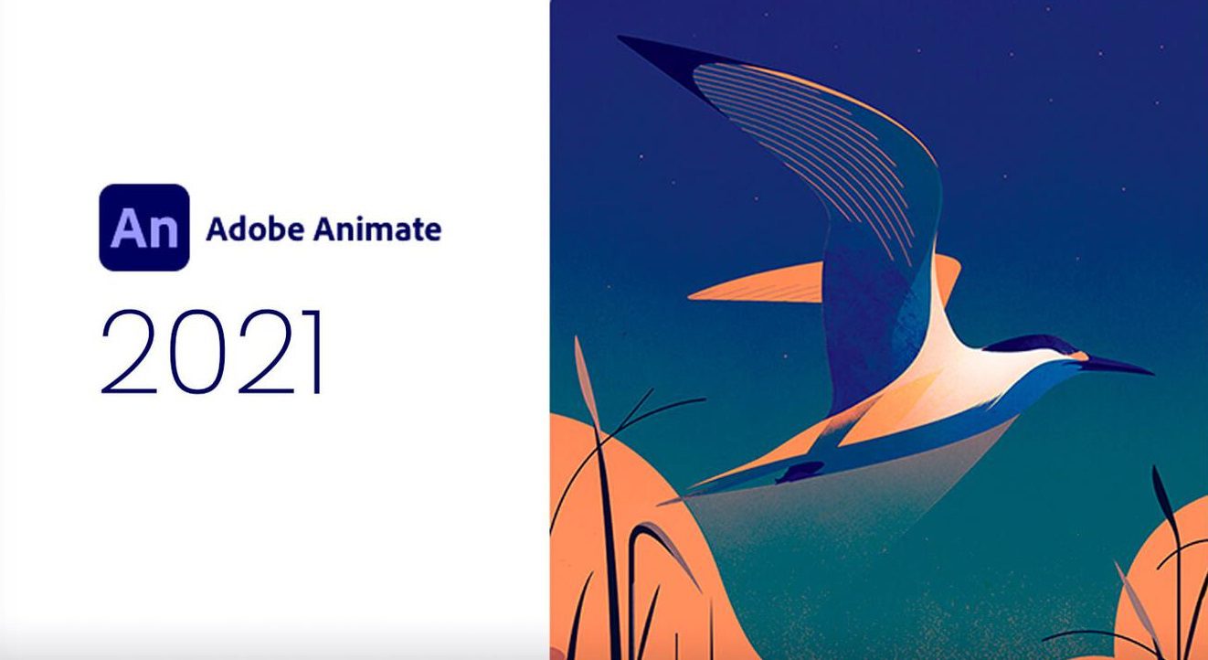 Adobe Animate 2021 Free Download (.42666) - My Software Free