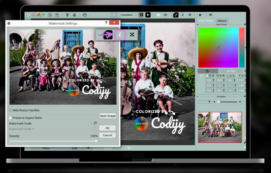 CODIJY Colorizer Pro Free Download