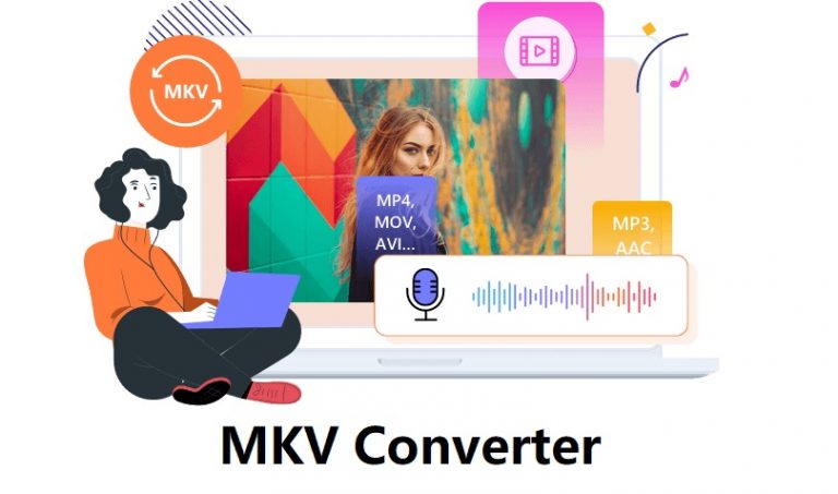 AVAide MKV Converter Free Download