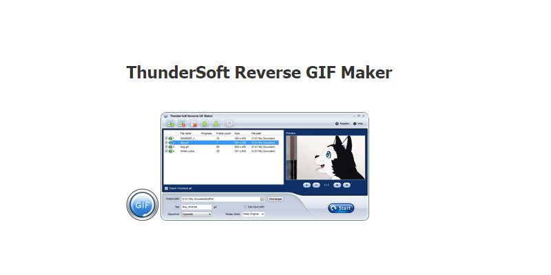 ThunderSoft Reverse GIF Maker Free Download
