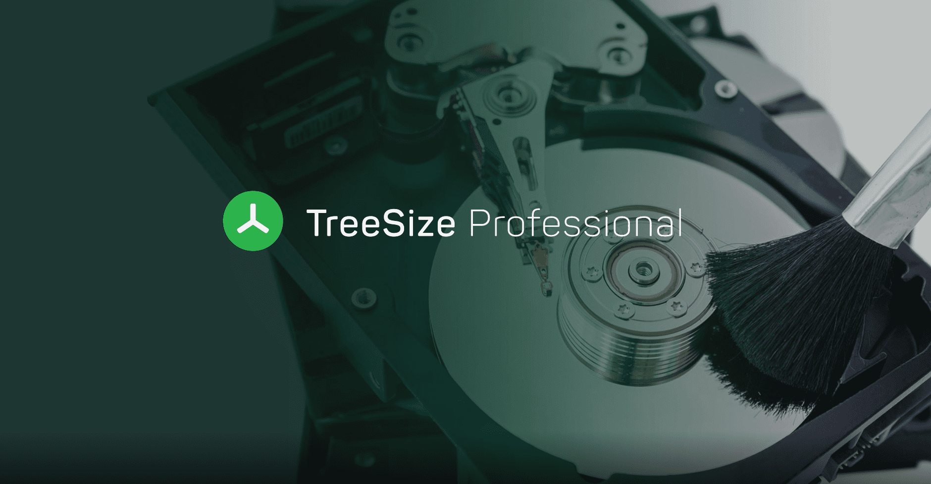 TreeSize Professional Free Download